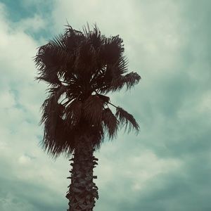 Meet your Posher, Kieryn